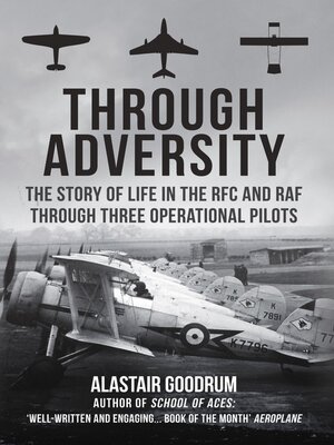cover image of Through Adversity